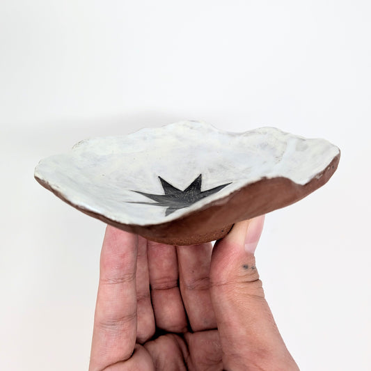 Black Star Dish