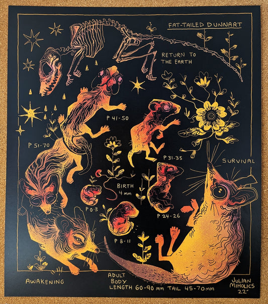 Dunnart - Life and Death Art Print