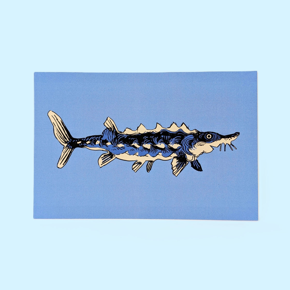 Sturgeon Mini Print