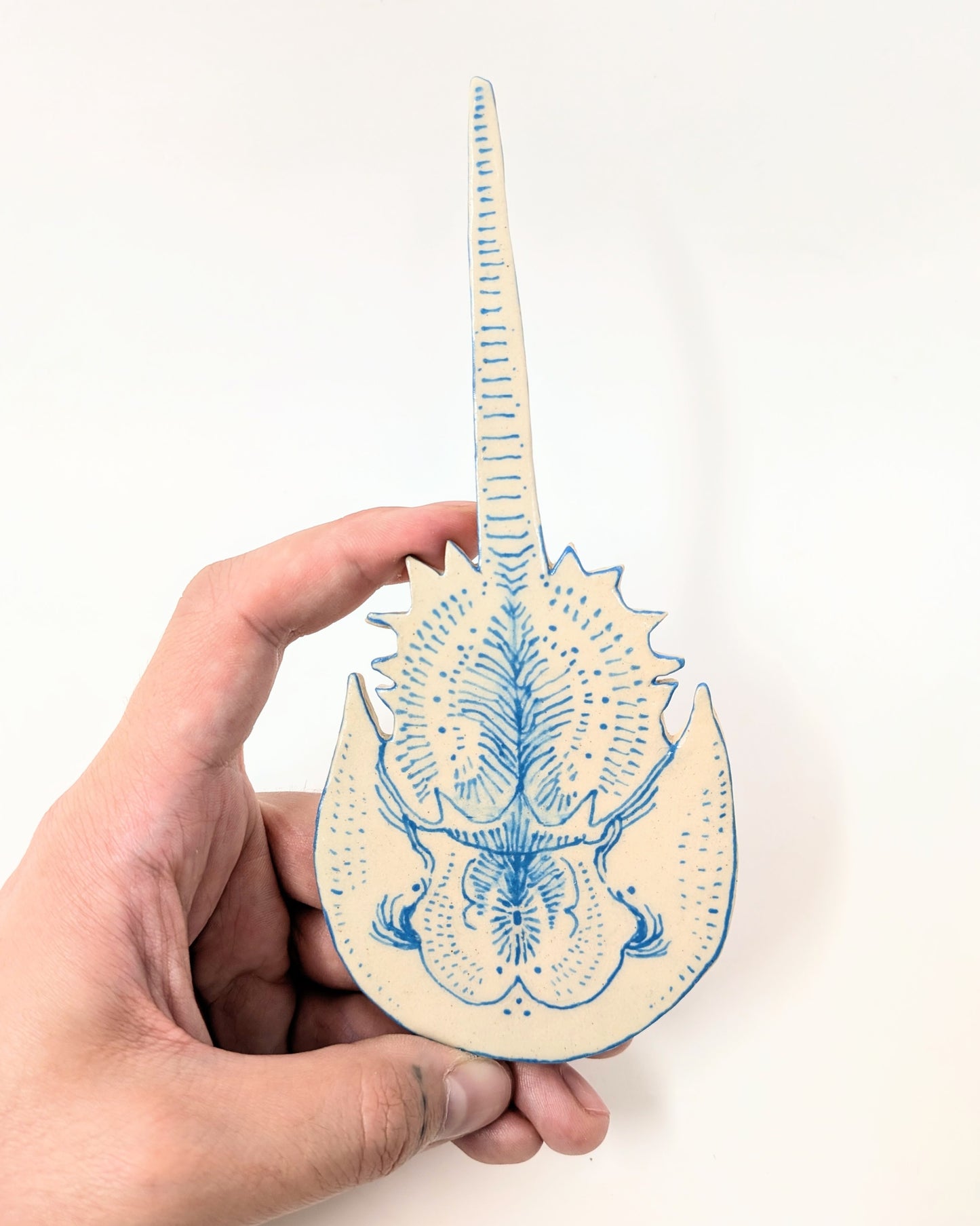 Horseshoe Crab Trinket Dishes